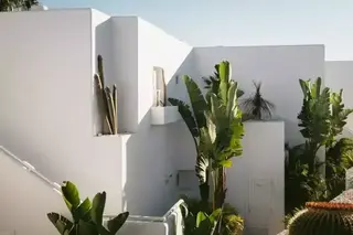 villa de vacances entourée de palmier